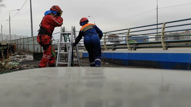26.03.21. Собака в люке, набережная Макарова смотреть онлайн