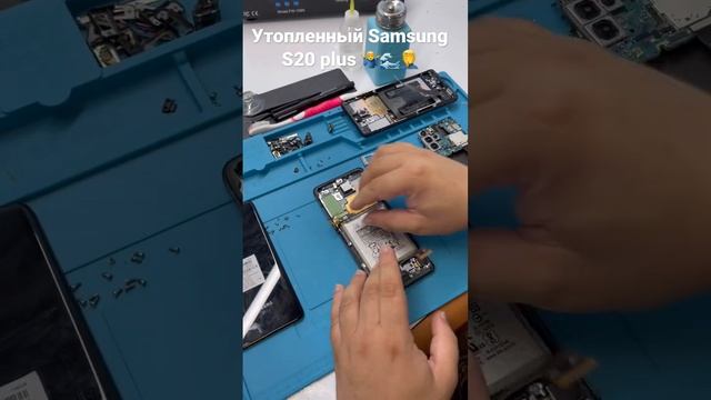Ремонт телефонов Samsung / Утопленный Samsung Galaxy S 20 Plus или как я побывал на море ! смотреть онлайн