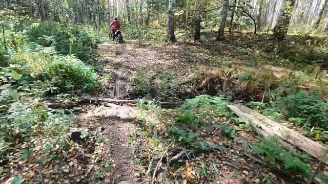 Эндуро гонка Зов Тайги 2022 (День первый, Бронза) смотреть онлайн