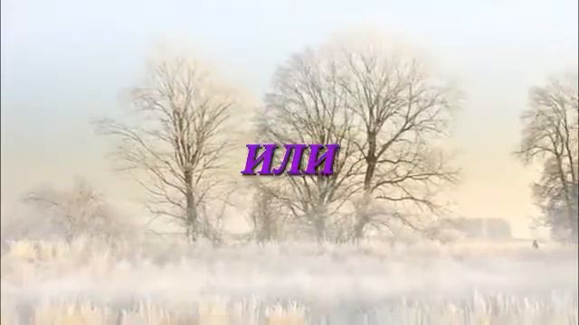 Кошечки/Собачки ... Кто лучше? смотреть онлайн