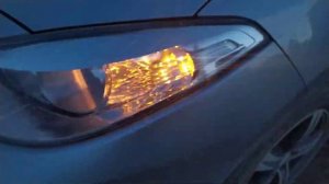 Две лампочки в поворотниках Рено Флюенс
