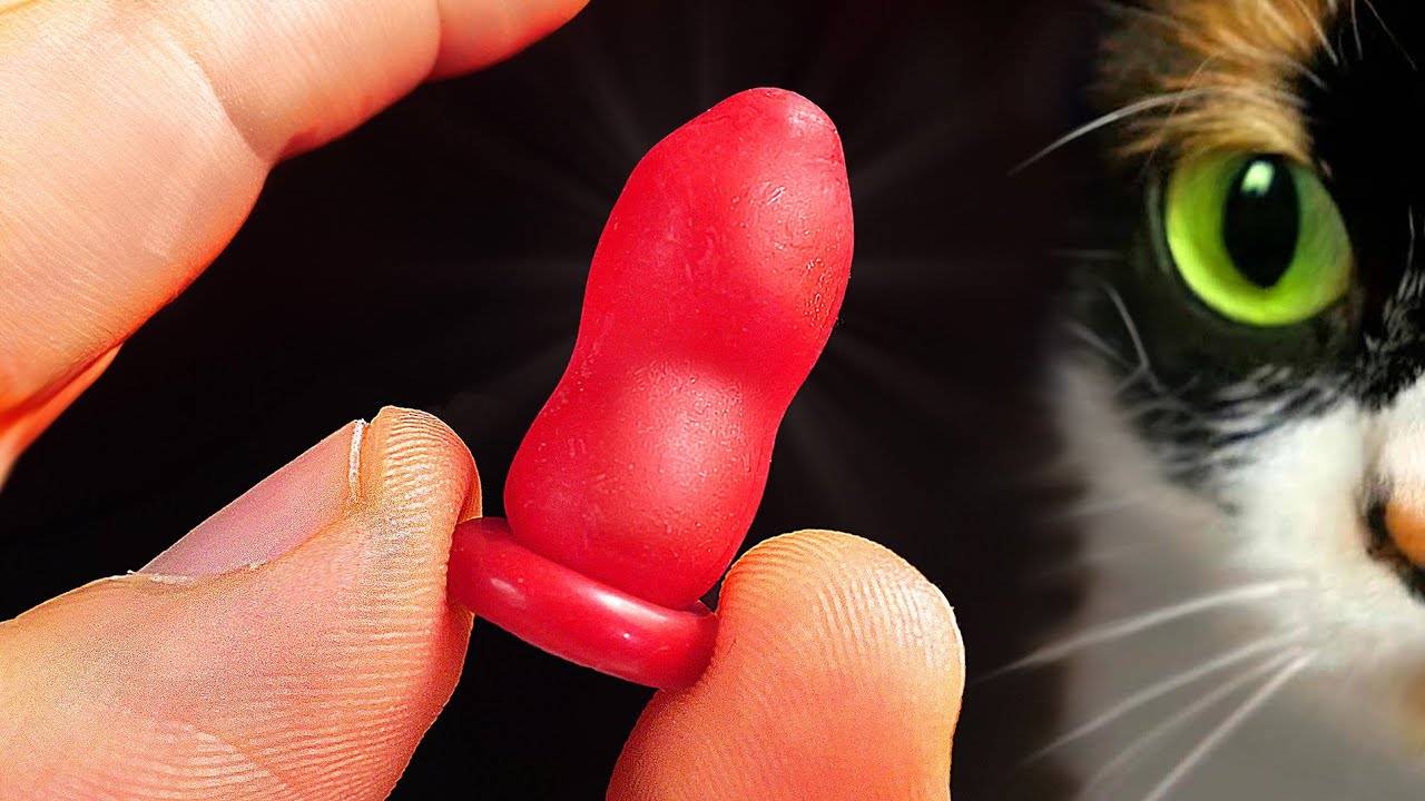 Вот что мы купили на aliexpress №4