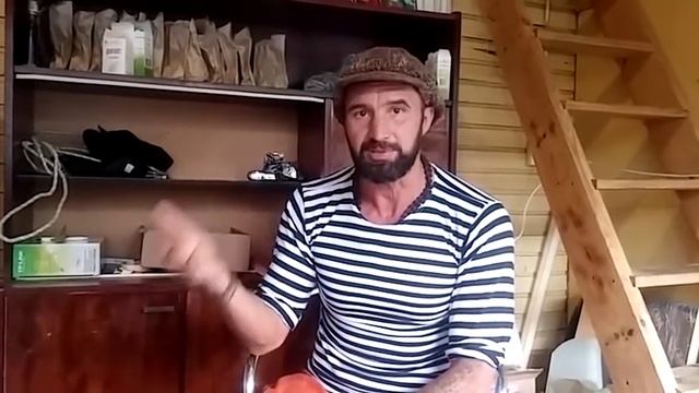 Live video ЙОГА / АЮРВЕДА / СЛАВА из ИНДИИ / че не так с ДОНЕЦКИМ видео смотреть онлайн