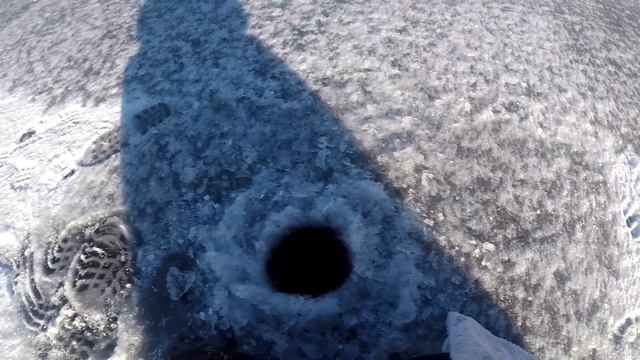 Рыбалка Казахстан. Первый лед в Павлодарской области. смотреть онлайн