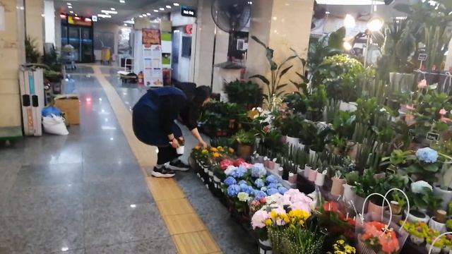 Подземный переход Кореи смотреть онлайн