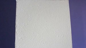 короед из шпаклевки