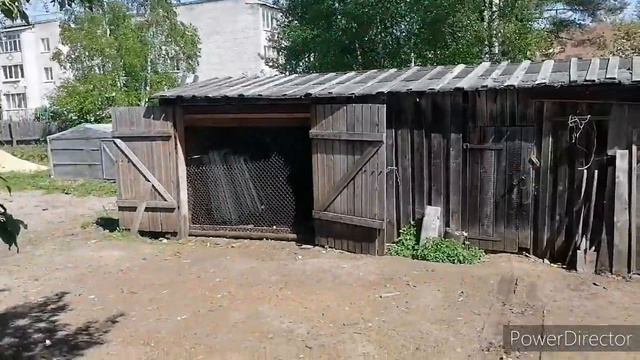 Покупки для огорода, всё равно хочу сковородку. смотреть онлайн