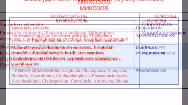 Микробиология. Патогенные грибы. Кандидозы, лечение.