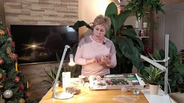 Советы Для Огорода