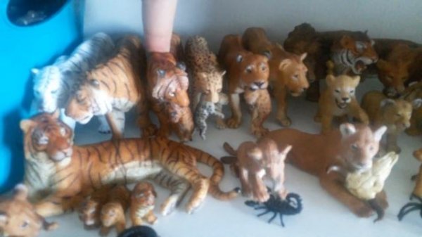 Обзор на мои фигурки животных