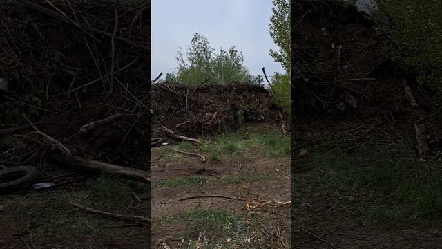 СНТ "Лесные Дачи", участок 19 соток смотреть онлайн