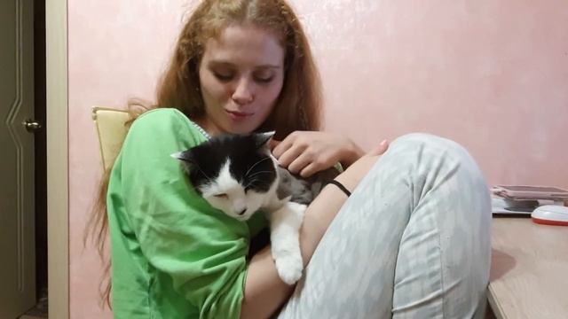 Как встречать любимого человека с работы - Кот учит жизни смотреть онлайн