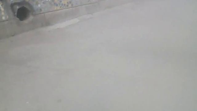 Лололошка и фростбол остановили время смотреть онлайн