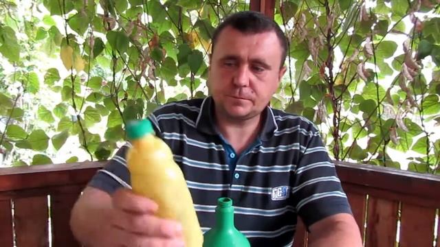 Борьба с трипсой,тлей,паутинным клещом. смотреть онлайн