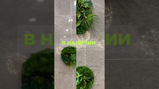 Картина из стабилизированного мха и растений ? диаметр 40;30;25 см три картины за 10 000₽ смотреть онлайн