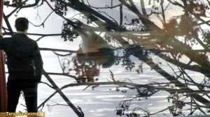 Калина красная, калина горькая