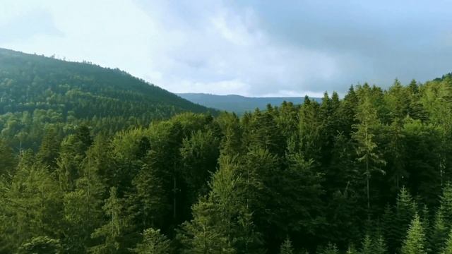 What Is The Best Music For A Blessed And Peaceful Day? (1 Hour - LoFi - Can Music - Relax - Nature)