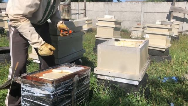 Ловля роев,он тяжелее бидона с водой смотреть онлайн