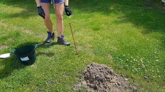 How to find a mole run смотреть онлайн