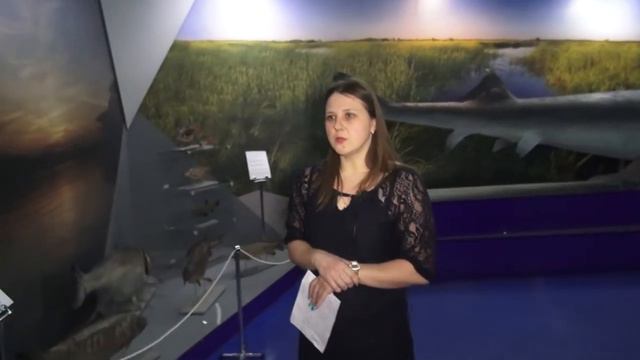 Рыбы Волжско-Каспийского бассейна смотреть онлайн