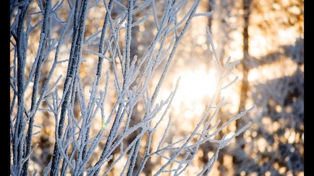 А Фет Мама! глянь-ка из окошка #стихиозиме #поэты19века смотреть онлайн