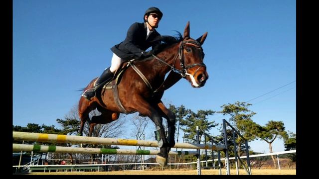 Грустный стих про конный спорт//попалам смотреть онлайн