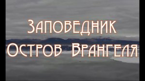 Заповедник остров Врангеля