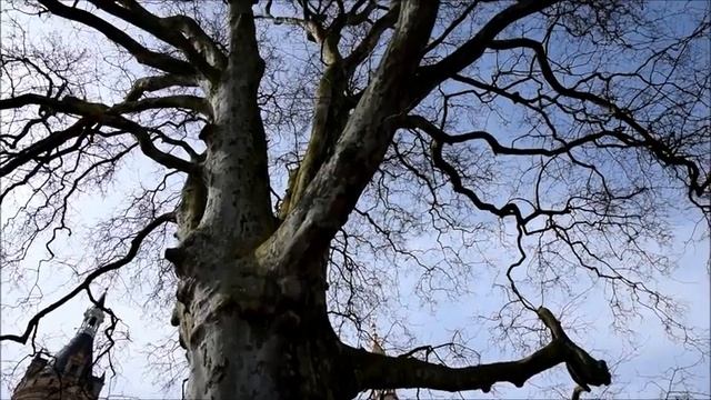 Стяжкин Life – Прогулка по ГДРовскому и старому Шверину смотреть онлайн