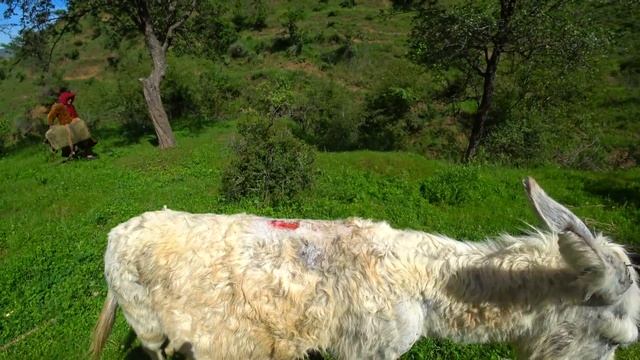 Узбекистан!!!Нетуристические места. смотреть онлайн