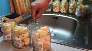 КВАШЕНЫЙ ЧЕСНОК )))  ??? ВКУСНЕЕ НЕ БЫВАЕТ !!! ???