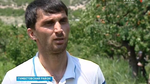 Изобретательные садоводы 27.06.18 г смотреть онлайн