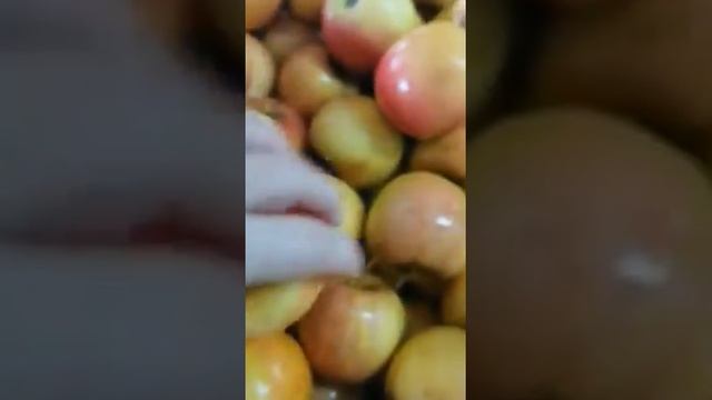 #Яблоко Пинова, калибр 65-70, Сорт 2. Тара гофроящик #shorts смотреть онлайн