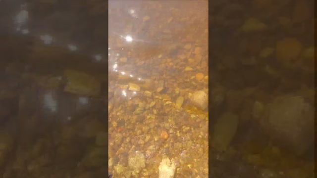 Лето в Усть-Куте смотреть онлайн
