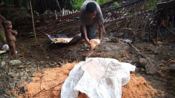 SAWIYANO - Sago Palm, Pudding, Sacsac