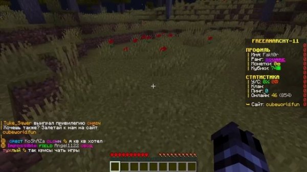 Сервер Объединился против МЕНЯ на Анархии - Майнкрафт CubeWorld