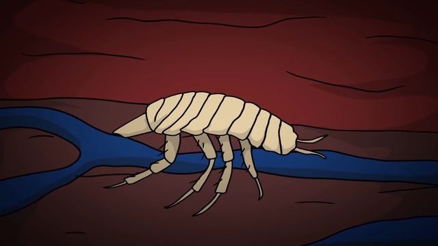 SCP-150 Корабль Тесея (Анимация SCP)