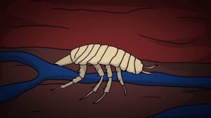 SCP-150 Корабль Тесея (Анимация SCP)