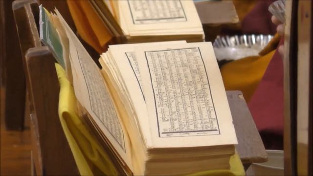 113. А ГДЕ ЖЕ ПРАЗДНИК? Я ВСЁ ПРОСПАЛА? БУДДА ПУРНИМА. ТЕМПЛ ДАЛАЙ ЛАМЫ... смотреть онлайн