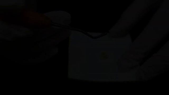 Material Check - Composite Resin :: New Product! смотреть онлайн