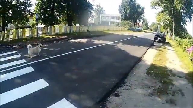 Тридцатьдевять рублей. Mini Camera OCULUS S970.