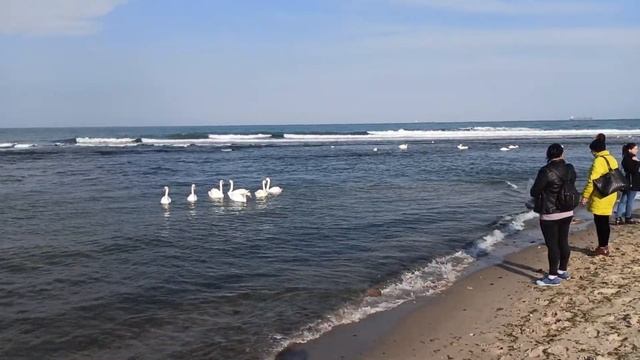 Ильичёвский пляж / Ilichevsk BEACH смотреть онлайн