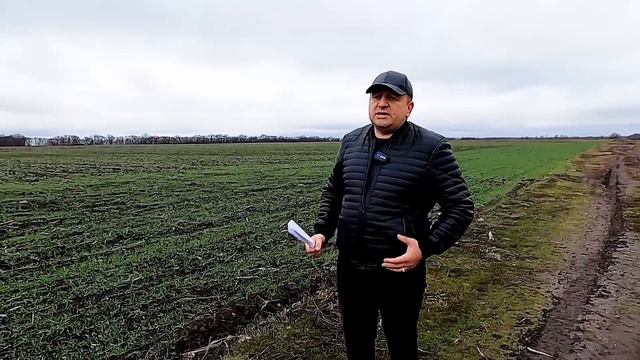 🤔 ЗАКОН 5600 ПРАЦЮЄ ЧИ НІ ? КОЛИ ВСТУПИТЬ В СИЛУ? КОМУ ЗАЛІЗУТЬ В КАРМАН ? смотреть онлайн