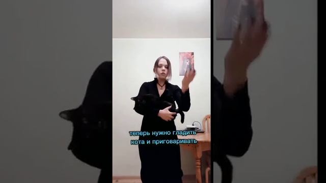 Если кот портит мебель и ремонт! смотреть онлайн