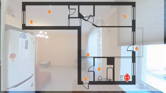 Звериные удивительные истории