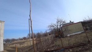 ФОРМИРОВАНИЕ КРОНЫ молодых плодовых деревьев,  ФОРМИРУЮЩАЯ ОБРЕЗКА веретеном и чашей весной.