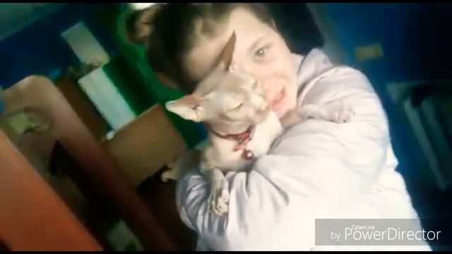 Как выпросить ? у родителей кошку или собаку смотреть онлайн