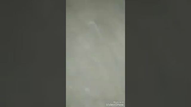 г.Шемонаиха.Ветренная Погода. смотреть онлайн