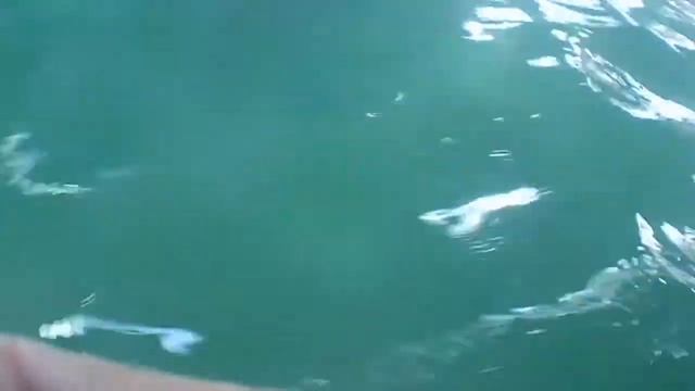 Санаторий Сказка - Чернолучье Омск смотреть онлайн