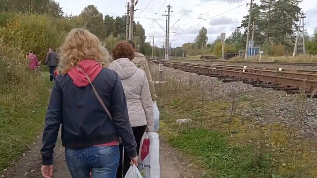 Сбылась мечта детства купил дачу Дача моёй мечты Лучшая дача дешево за тыщ рублей смотреть онлайн
