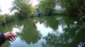 Мормышинг с новым спинингом Admiral Nigth Fever, тест на рыбе пройден!